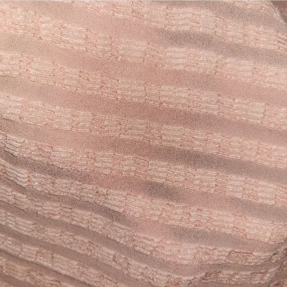 Anthropologie
Coral Gauzy Semi Sheer Ballon Longsleeve Top XS - Picture 9 of 11